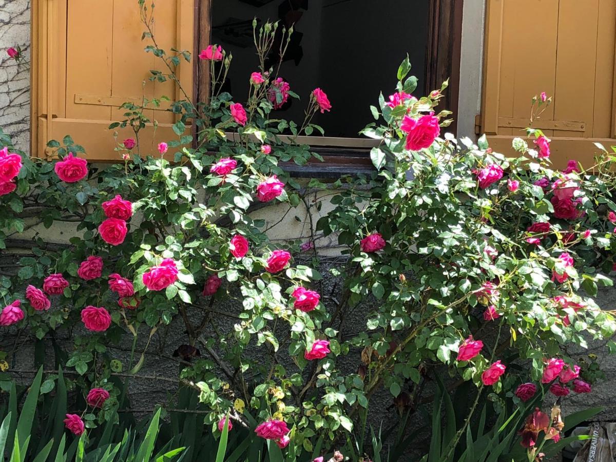 A O Soa B&B Savignone Dış mekan fotoğraf