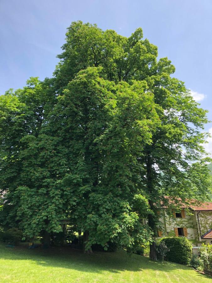 A O Soa B&B Savignone Dış mekan fotoğraf